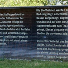P1444024.jpg