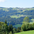 P1444075.jpg