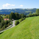 P1444077.jpg