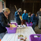 Sauerkraut 2022 _3_.JPG