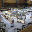 4. Oberland-Kleintierschau in Bürs