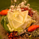 20221001_ausser-gew__hnlich_Diana Binder-29.jpg