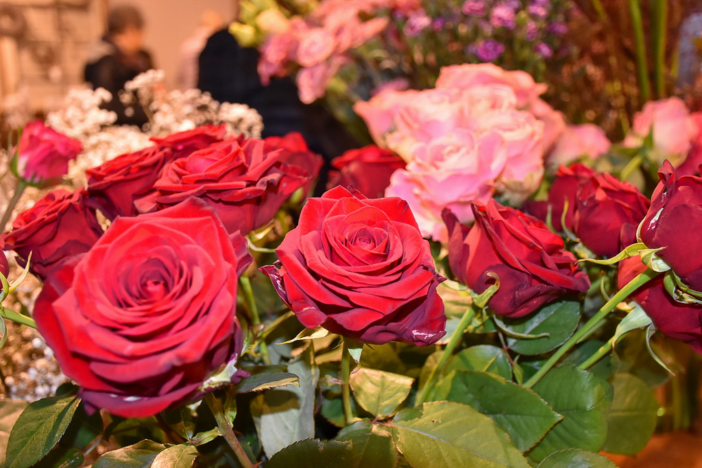 20221001_ausser-gew__hnlich_Diana Binder-12.jpg