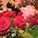 20221001_ausser-gew__hnlich_Diana Binder-12.jpg