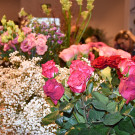 20221001_ausser-gew__hnlich_Diana Binder-7.jpg