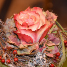 20221001_ausser-gew__hnlich_Diana Binder-28.jpg