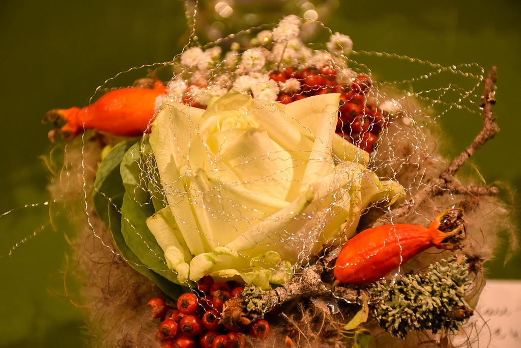 20221001_ausser-gew__hnlich_Diana Binder-29.jpg