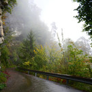 Wanderung 300922_2.JPG