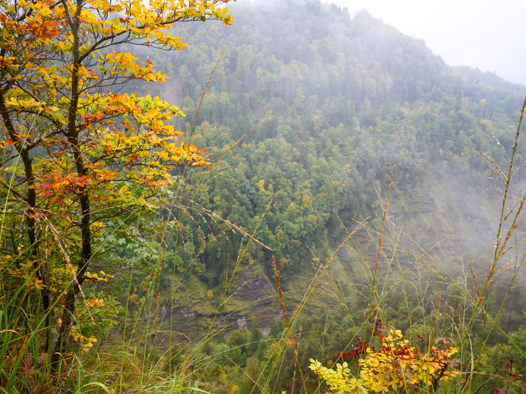 Wanderung 300922_5.JPG