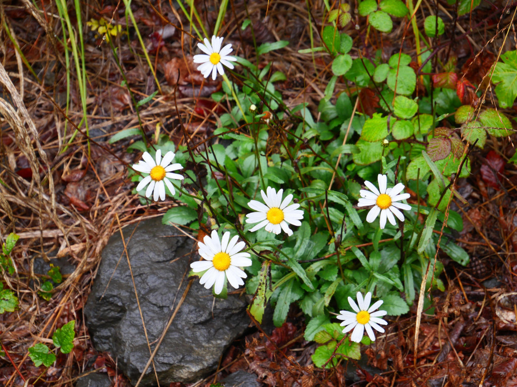 Wanderung 300922_6.JPG