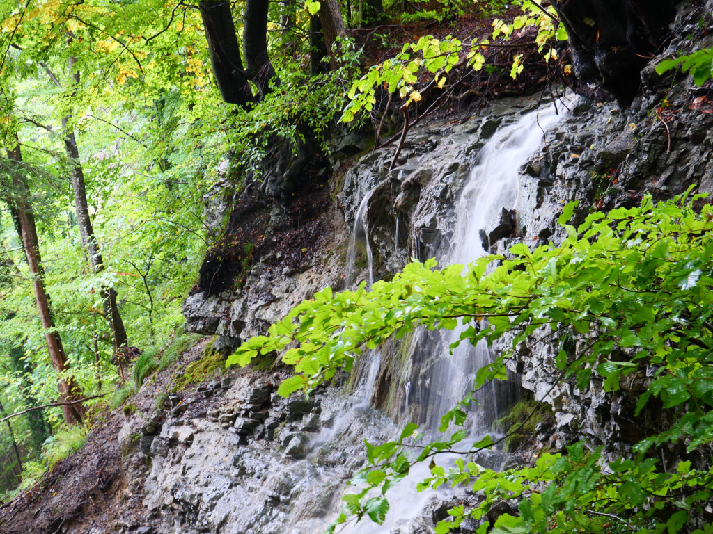 Wanderung 300922_9.JPG