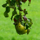 Wanderung 300922_15.JPG