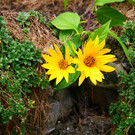 Wanderung 300922_16.JPG