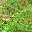 Wanderung 300922_19.JPG