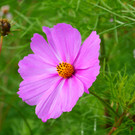 Wanderung 300922_24.JPG