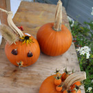IMG_7050a.jpg