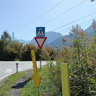 IMG_20221006_125225 a.jpg