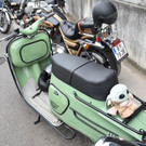 DSC_0009.JPG