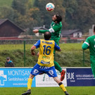 DSC01212aa.jpg