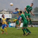 DSC01763aa.jpg