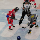 DSCI8564.JPG