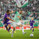 Bilder zum Wiener Derby