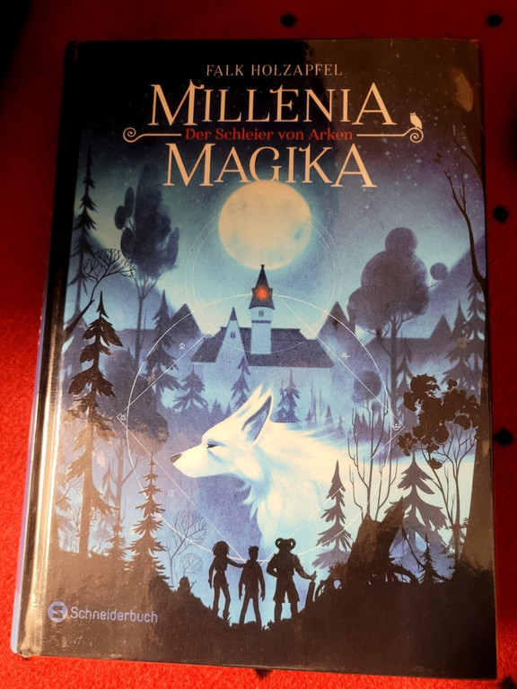 B__cherei LESUNG Falk ZAPF Holzapfel f__r Mittelschule B Lesung UND Illustration11-10-2022 _3_.jpg