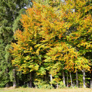 Pfarre 131022_45.JPG