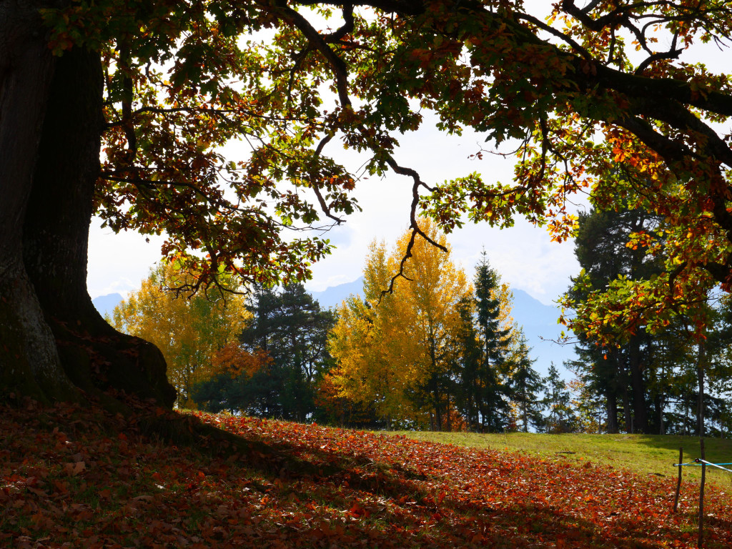 Pfarre 131022_46.JPG