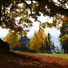 Pfarre 131022_46.JPG