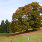 Pfarre 131022_47.JPG