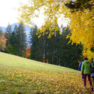 Pfarre 131022_49.JPG