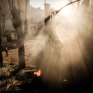 AFP_32LK477.jpg