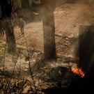 AFP_32LK47A.jpg