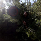 AFP_32LL4LM.jpg