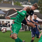 DSC03124aa.jpg
