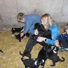 Entzückende Rasselbande lässt Kinderherzen höher schlagen