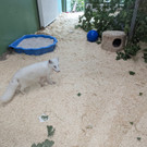 PXL_20220905_131755109.jpg