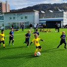 Symbolfotos zum Projekt KUNSTRASENPLATZ NEU im Stadion Hoferfeld