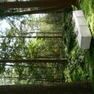 P1090610__c_Loop.JPG