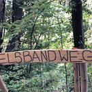 IMG_9795.JPG