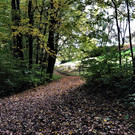 IMG_9800.JPG