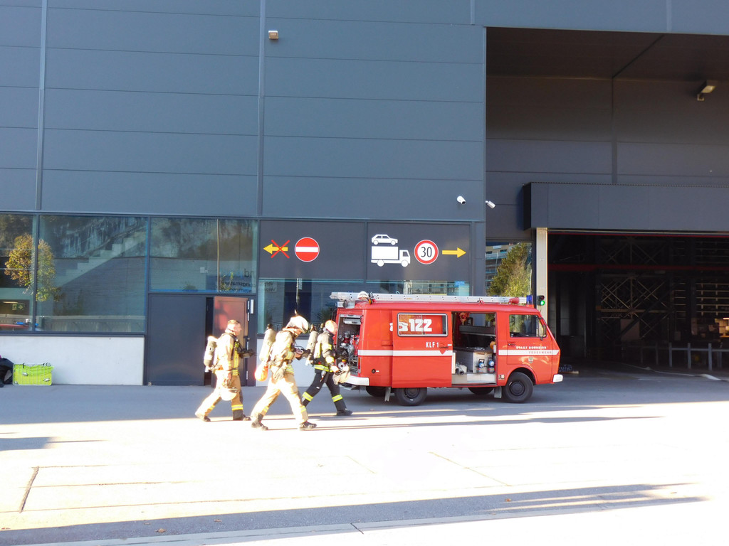 DSCI8795.JPG