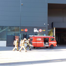 DSCI8795.JPG