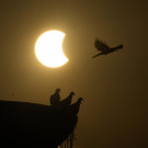 India_Solar_Eclipse_15816.jpg