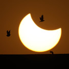India_Solar_Eclipse_37706.jpg