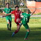 DSC03480aa.jpg
