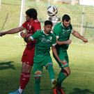 DSC03537aa.jpg