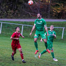 DSC04115aa.jpg