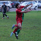 DSC04237aa.jpg